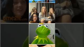 Dont Mess With Kermit The Frog