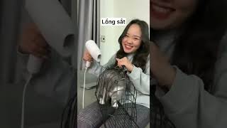 Tắm Cho Mèo Có Dễ Không - Thảo Mèo