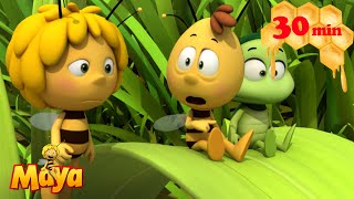 The Meadow Gets Painted? Whats Going On? - Maya The Bee - Full Compilation