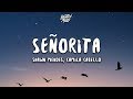 Shawn Mendes, Camila Cabello - Señorita (Lyrics) Besomorph Cover