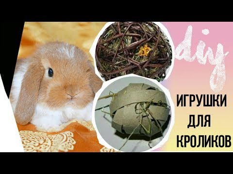 Usb в магнитолу sony своими руками Usb в магнитолу sony своими руками
