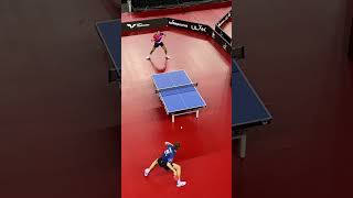 Masa tenisi en iyi sayılar #masatenisi #pingpong #tabletennis