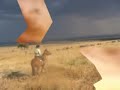GHOST RIDERS IN THE SKY- THE SHADOWS