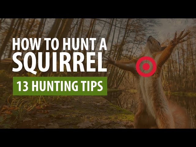 Watch How To Hunt A Squirrel - 13 Hunting Tips on YouTube.