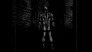 Watch Assemblage 23 Blindhammer video