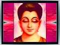 BUDDHA SAMSARA