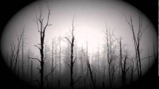 Watch Wyrd Huldrafolk video