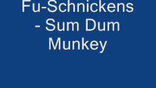 Watch Fuschnickens Sum Dum Munkey video
