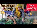 What will happen to Jiya now? 😱 JiyaAarya village life video #rajasthani vlog #viral