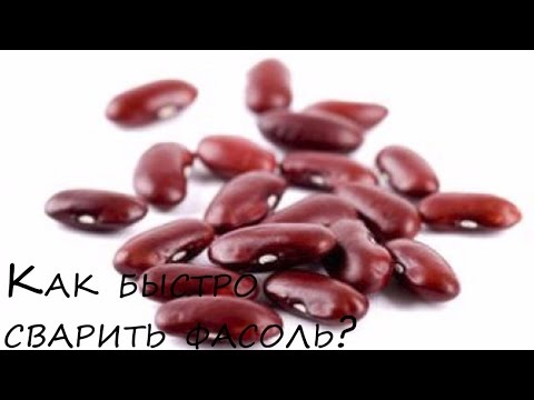Как быстро сварить фасоль красную без замачивания рекомендуем Как быстро сварить фасоль красную без замачивания рекомендации