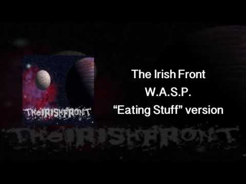 Wasp Video