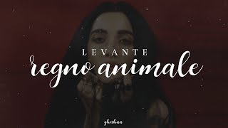 Watch Levante Regno Animale video