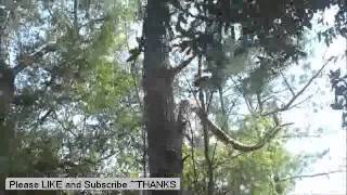 really nice day (epic kid kills mom over video games). *Newest Edition!!!* really nice day (epic kid kills mom over video games). *Newest Edition!!!*