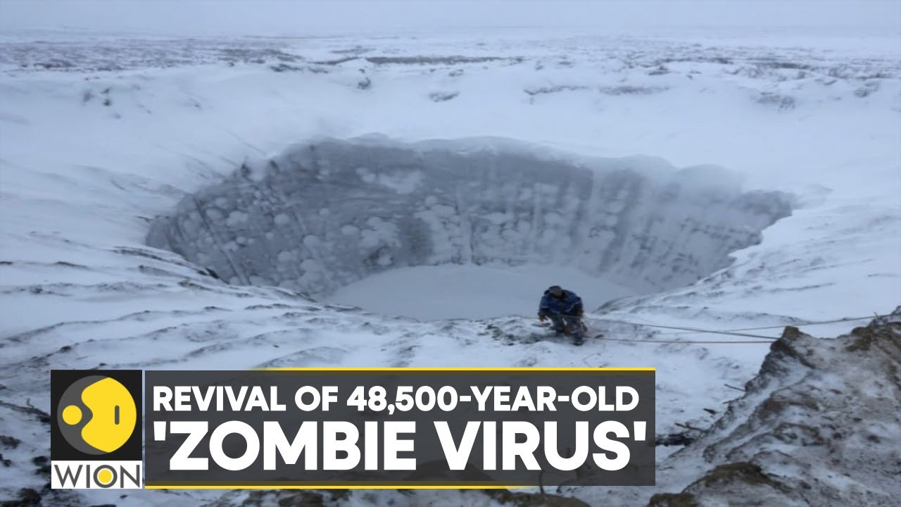 WION Climate Tracker: Scientists revive 48,500-year-old WION Climate Tracker: Scientists revive 48,500-year-old