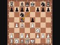 chess openings