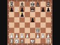 chess openings