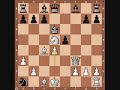 chess openings