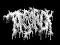 Torsofuck - Vaginal Disembowelment