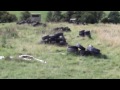 oakridge airsoft top base attack 20/08/11