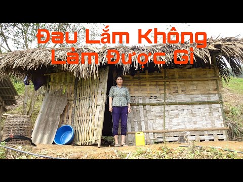 2 MẸ CON SỐNG TRONG TÚP LỀU TẠM BỢ CƠM KHÔNG ĐỦ ĂN | Miền núi tây bắc
