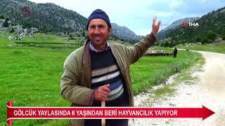 Gölcük Yaylasında 6 Yaşından Beri Hayvancılık Yapıyor