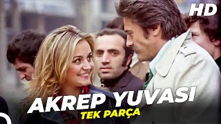 Akrep Yuvası | Cüneyt Arkın Banu Alkan Türk Filmi