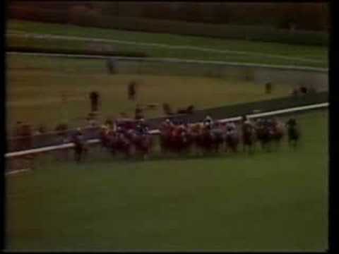 Ranker Video