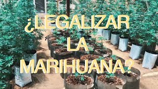 Legalizar La Marihuana?