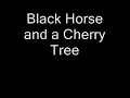 Black Horse and a Cherry Tree Lyrics video