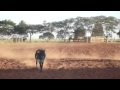 PROVA DE LAÇO COMPRIDO - RANCHARIA SP