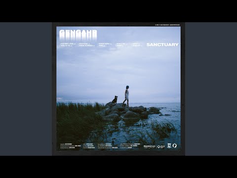 Moonlight Video
