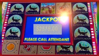 ** JACKPOT HANDPAY ** COYOTE MOON ** SLOT LOVER ** ** JACKPOT HANDPAY ** COYOTE MOON ** SLOT LOVER **