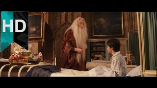 Harry Potter ve Felsefe Taşı | Harry ve Dumbledore |