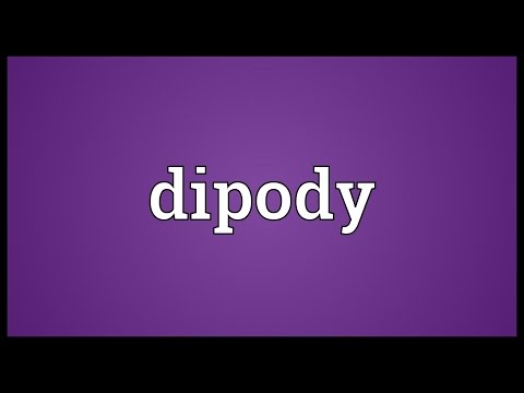 Header of dipody