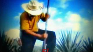 Watch Los Originales De San Juan El Arandense video