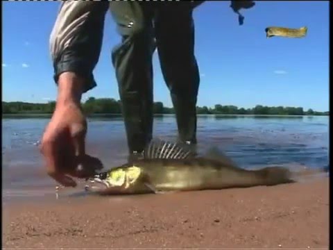 прогноз клева в сорочинск водохранилище прогноз клева в сорочинск водохранилище