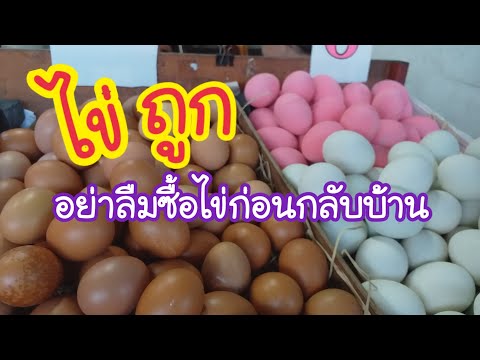 ส.ทรัพย์เจริญ ฟาร์ม ขายไข่ทุกชนิดปลีก - ส่ง ราคาถูก | สตรีทฟู้ด | Bangkok Street Food