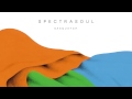 Sasquatch Video preview