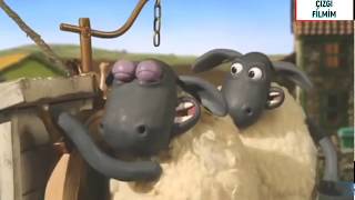 Koyun Shaun (Shaun The Sheep) Çizgi Filmi