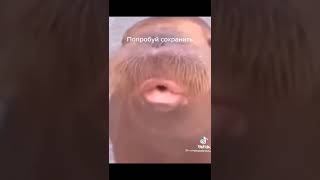 5 Февраля 2022 Г.