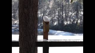 Watch Ozark Mountain Daredevils Snowbound video