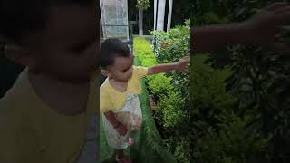 Baby Rimi