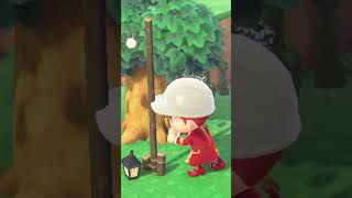 Comment Faire Une Cabane Dans Les Arbres Dans