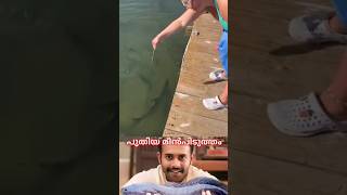 New Fishing Style