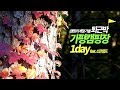 Download 캠핑의 계절 가을, 금요일 퇴근박으로 떠났던 캠핑 가을여행! 가평 캠핑장 첫째날 (ft. 소란캠프) 캠핑의 계절 가을, 금요일 퇴근박으로 떠났던 캠핑 가을여행! 가평 캠핑장 첫째날 (ft. 소란캠프)