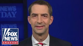 Tom Cotton: Senate will move forward 'without delay' on Ginsburg successor