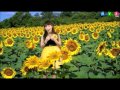 [MV HD] Đồi Hoa Mặt Trời - Huỳnh Nhã Lâm