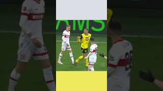 0NaMSZREyiM Video Image