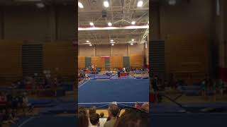 Ella Silver State 9.3 On Floor