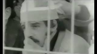 0NbnQmLUFxg Video Image